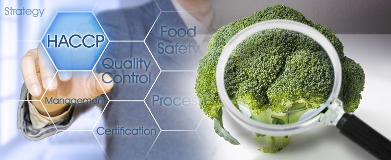 Piani di sicurezza alimentare vs. HACCP - Scegliere il sistema giusto per la propria azienda